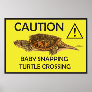 Vorsicht Schnappschuss Schildkröte Crossing Poster