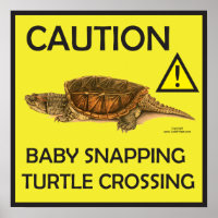 Vorsicht Schnappschuss Schildkröte Crossing Poster