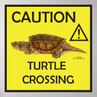 Vorsicht Schnappschuss Schildkröte Crossing Poster