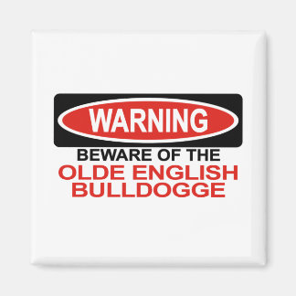 Vorsicht vor dem alten englischen Bulldogge Magnet