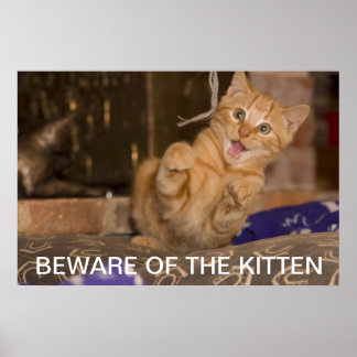 Vorsicht vor dem Kitten Poster