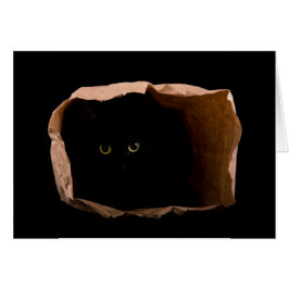 Vorsicht vor der Angriffskatze!