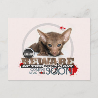 Vorsicht vor der Ninja-Katze Postkarte