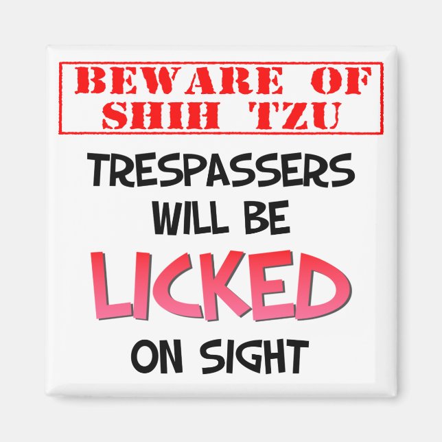 Vorsicht vor Shih Tzu (Weiß), 2 Zoll Square Magnet (Vorne)