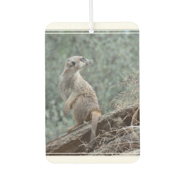 vorsichtig Meerkat Autolufterfrischer (Vorderseite)