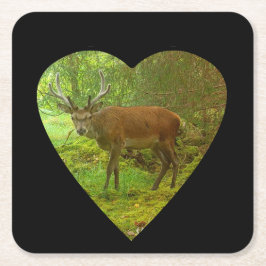 Vorsichtiger Red Deer Stag Paper Untersetzer