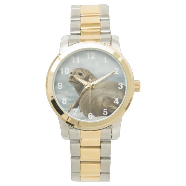 vorsichtiges Siegel Armbanduhr (Vorderseite)