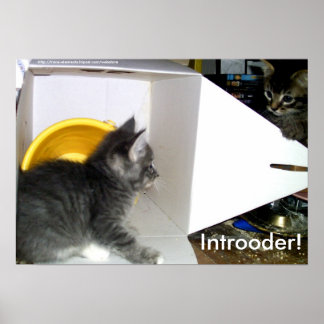 Vorstellen! Kitten Poster