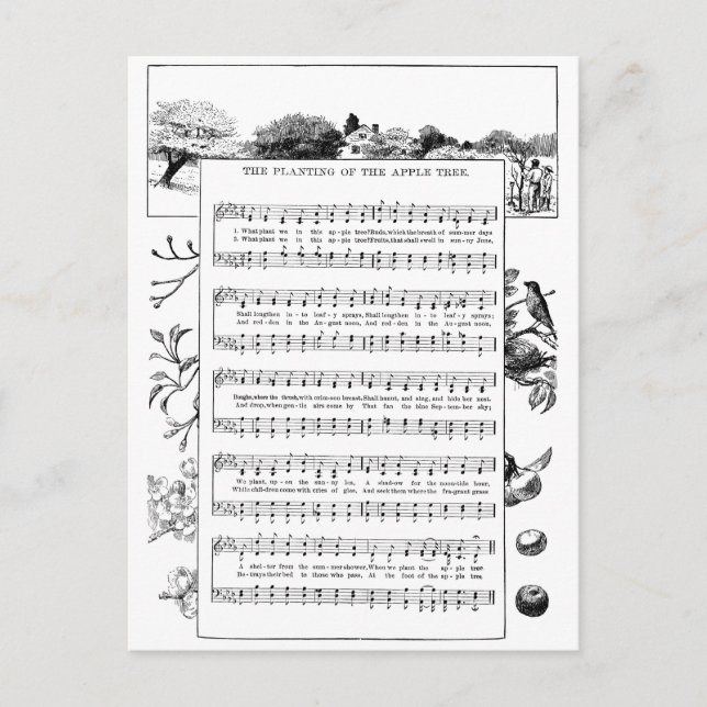 Vorteile von Apple Trees Song Postkarte (Vorderseite)
