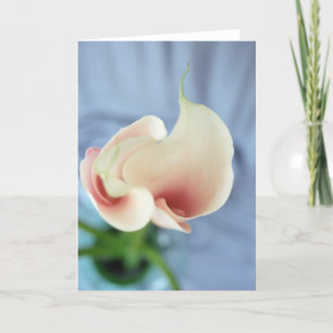Vortex White Calla Lily Art Foto Mitteilungskarten
