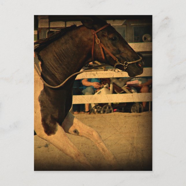 Vorwärtsfahrt mit voller Geschwindigkeit Postkarte (Vorderseite)