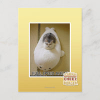 Vorwärtsfahrt mit voller Geschwindigkeit