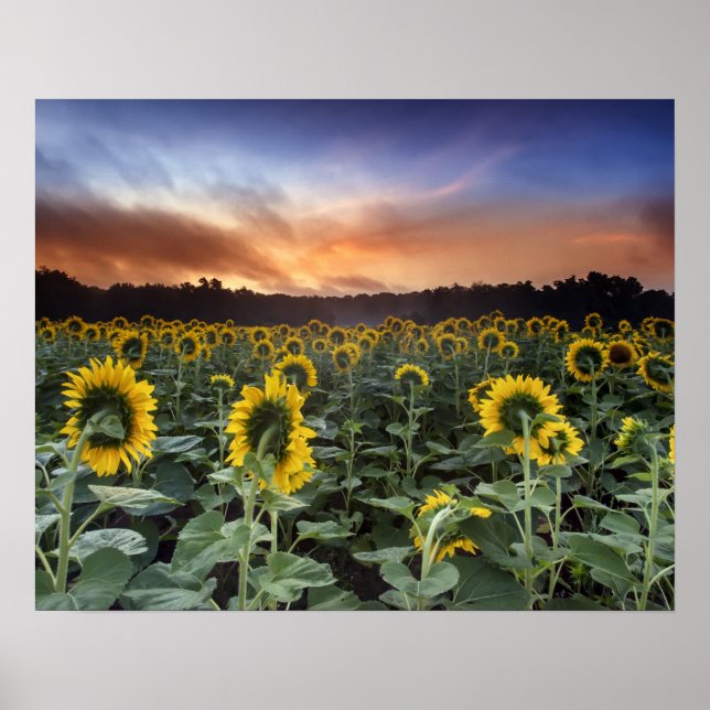 Vorwegnahme Poster (Vorne)