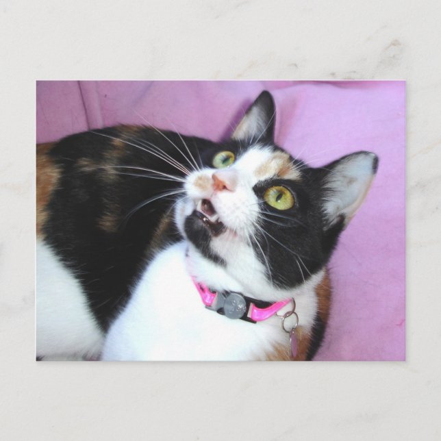 Vorwegnahme Postkarte (Vorderseite)