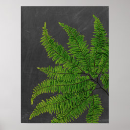 Vorzeichen mit Zwischenablage/Zwischenablage Nr. 5 Poster