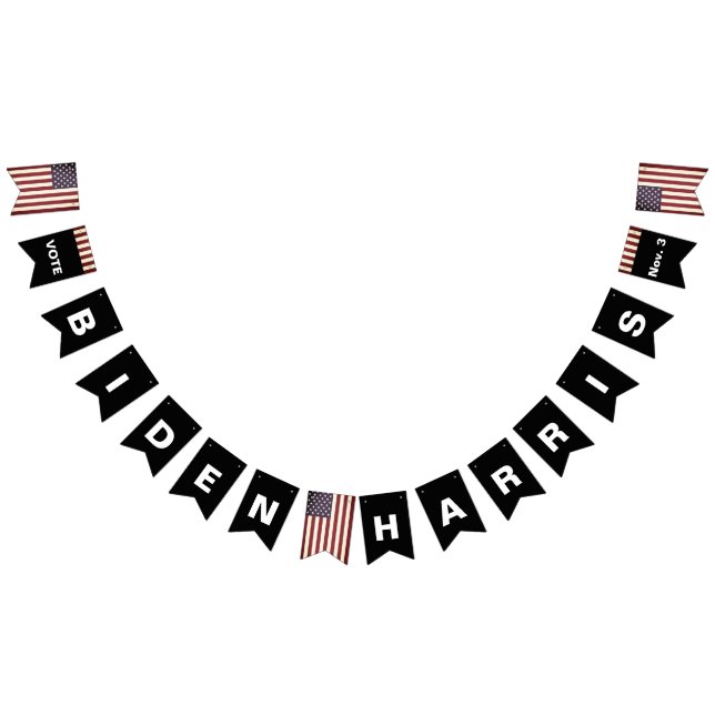 Vote BIDEN HARRIS auf dem Banner der Jagdflagge vo (Alle)