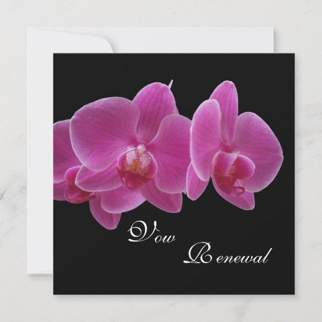 Vow Renewal Lila Orchids Einladung (Vorderseite)