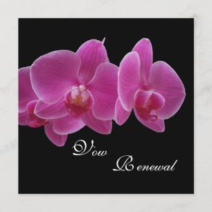 Vow Renewal Lila Orchids Einladung