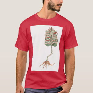 Voynich Manuscript-Pflanze T-Shirt
