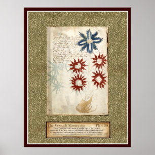 Voynich Platte 30 Poster