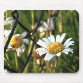 Vrede achter het hek. In bloemen illustratief. Mousepad