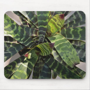 Vriesea Splendens Bromeliad Pflanze Striped Mousepad