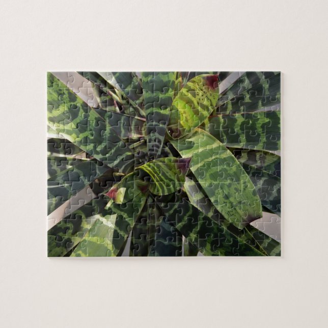 Vriesea Splendens Bromeliad Pflanze Striped Puzzle (Horizontal)