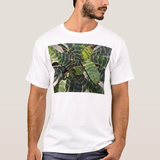 Vriesea Splendens Bromeliad Pflanze Striped T-Shirt (Vorderseite)