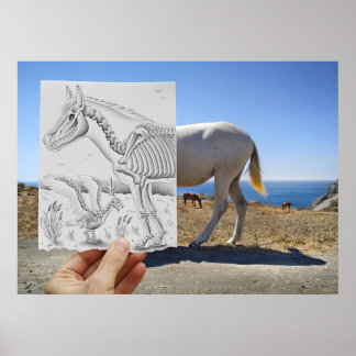 VS-Kamera für Stifte - X-Ray Poster