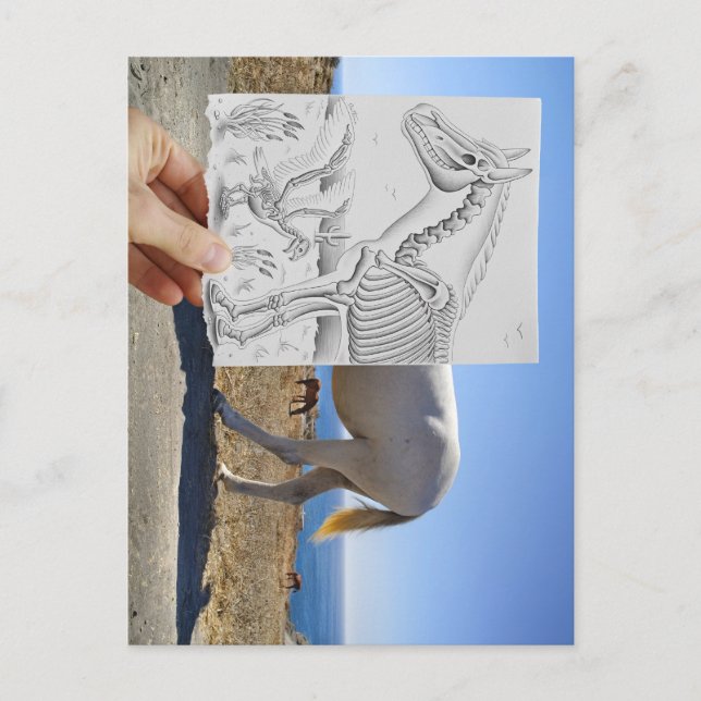 VS-Kamera für Stifte - X-Ray Postkarte (Vorderseite)