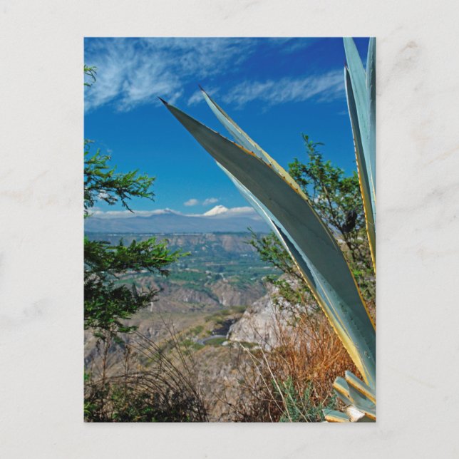 Vulkan Cotopaxi, Ecuador Postkarte (Vorderseite)