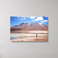 Vulkan in Altiplano Landschaft Leinwand