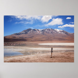 Vulkan in einem Landschaftspopster von Altiplano Poster
