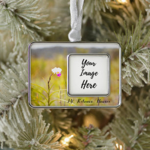 Vulkan-Nationalpark Hawaii Mt. Kilauea Rahmen-Ornament Silber