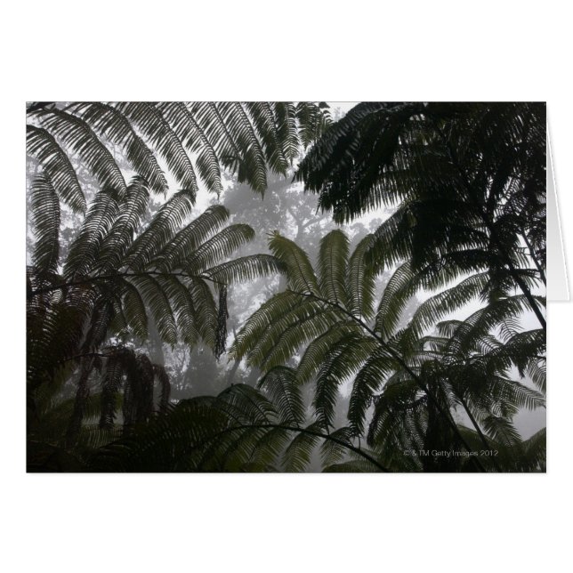 Vulkane Hawaiis, große Insel, Hawaii national (Vorderseite (Horizontal))