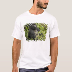 Vulkane Nationalpark, Berggorilla T-Shirt