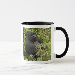 Vulkane Nationalpark, Berggorilla Tasse
