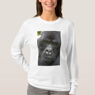 Vulkane NP, Ruanda, Berggorillas, T-Shirt