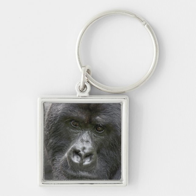 Vulkane NP, Ruanda, Mountain Gorillas, Schlüsselanhänger (Vorne)
