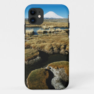 Vulkane Payachalas Case-Mate iPhone Hülle