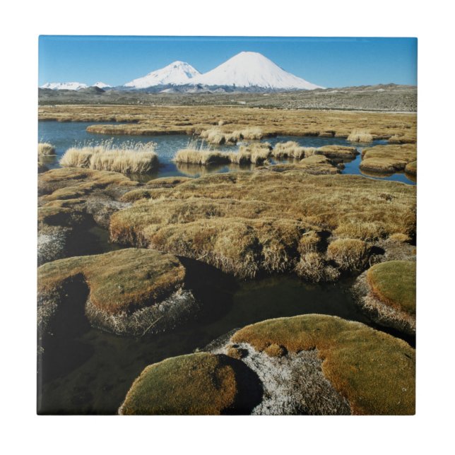 Vulkane Payachalas Fliese (Vorderseite)