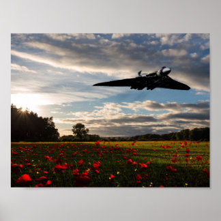 Vulkangeschichte Poster