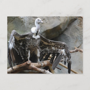 Vulkantpostkarte Postkarte