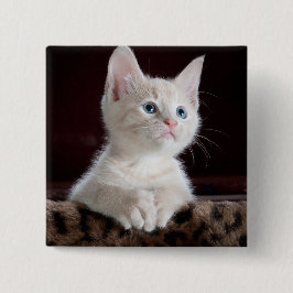 Vulnerable White Kitten Button