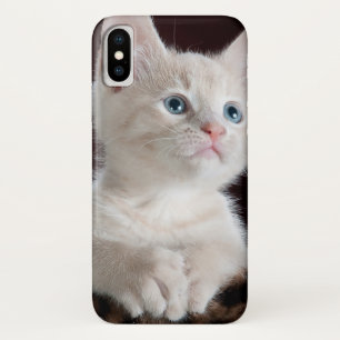 Vulnerable White Kitten Case-Mate iPhone Hülle