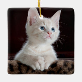 Vulnerable White Kitten Keramikornament