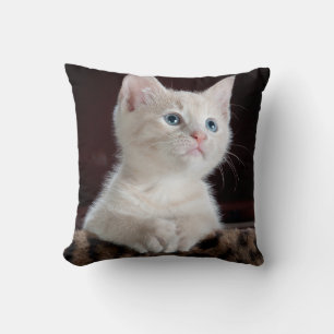 Vulnerable White Kitten Kissen