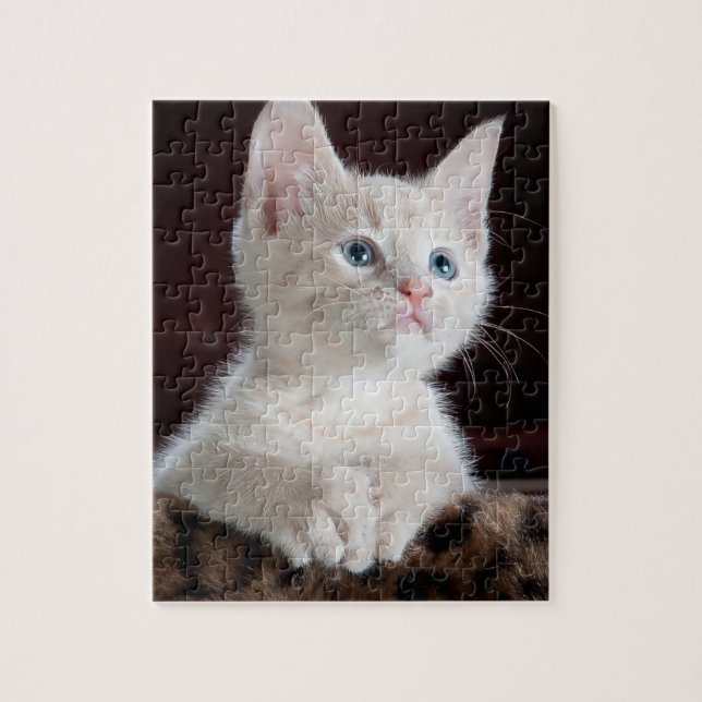Vulnerable White Kitten Puzzle (Vertikal)