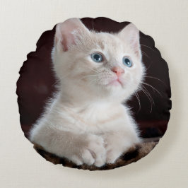 Vulnerable White Kitten Rundes Kissen