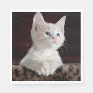 Vulnerable White Kitten Serviette